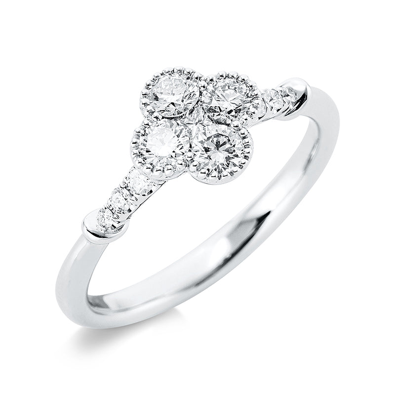 Ring 18 kt WG, 1 Princ. 0,05 ct, TW-vsi, 10 Brill. 0,50 ct, TW-si