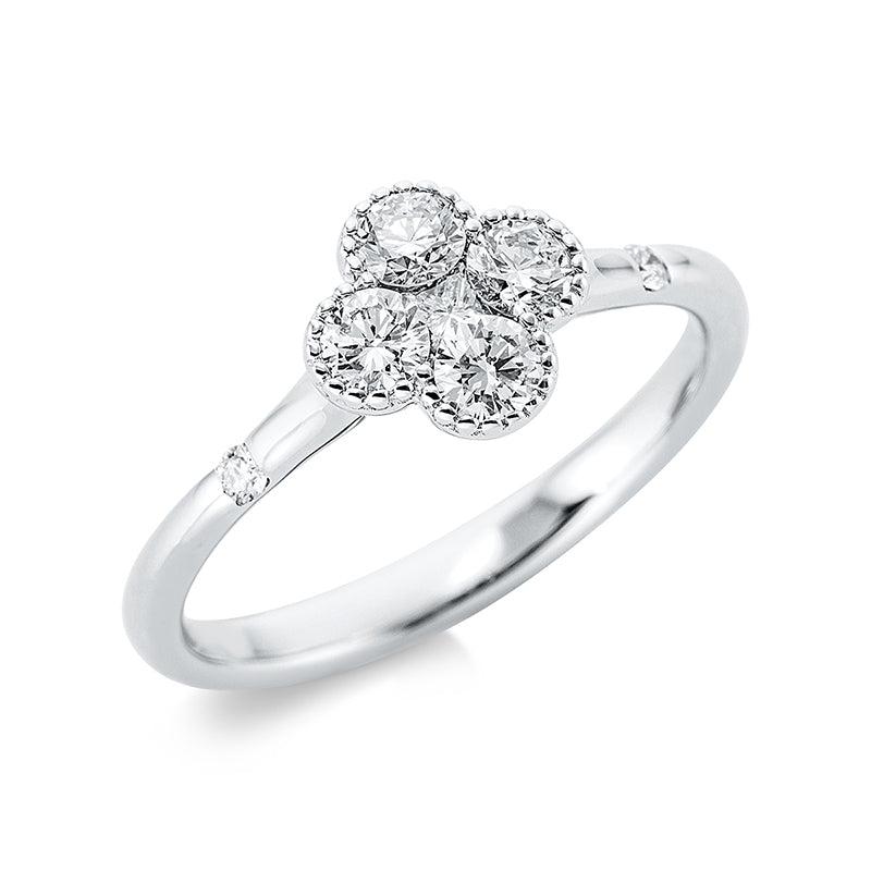 Ring 18 kt WG, 1 Princ. 0,04 ct, TW-vsi, 6 Brill. 0,47 ct, TW-si